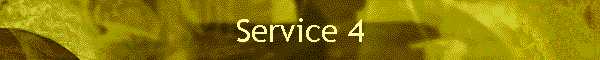 Service 4